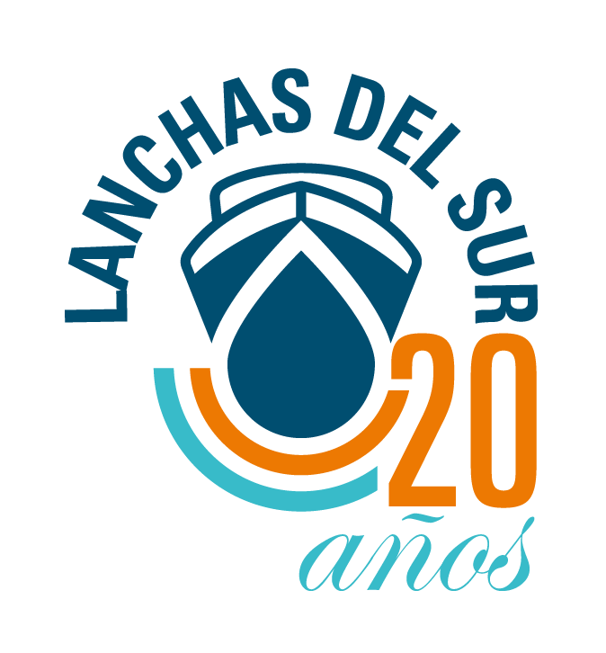 Logo LDS 20 años